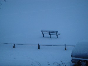 An Untouched Bench Covered in Snow